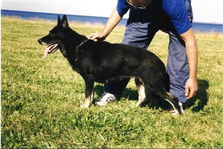 SG Illa von den Wannaer Höhen