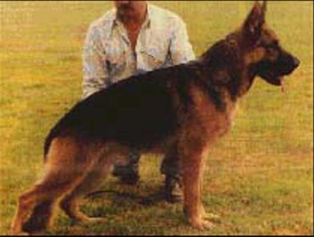 V Warro vom Adlerweg