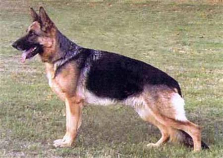 V Princess vom Wolkenstein