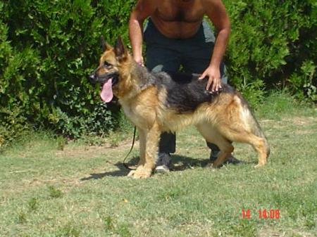 Ussi von den Zwillingen