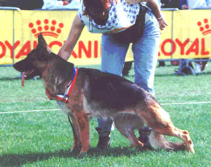 VA1(SPAIN) Eugenie de la P'tite Flore