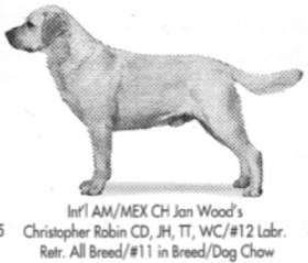 CH (AKC) Janwood's Christopher Robin