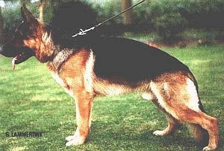 V Harko von der Lentfert Hoeve