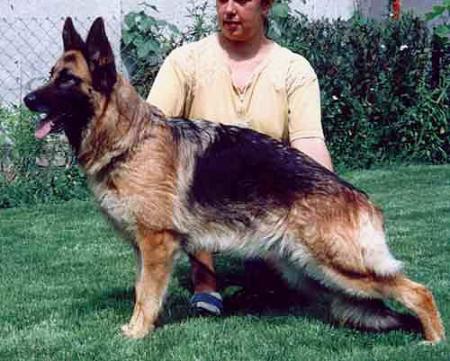 Nanga von der Kahler Heide