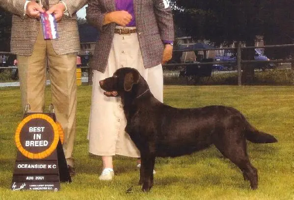 Twigs Fawnhaven Scent Delphi