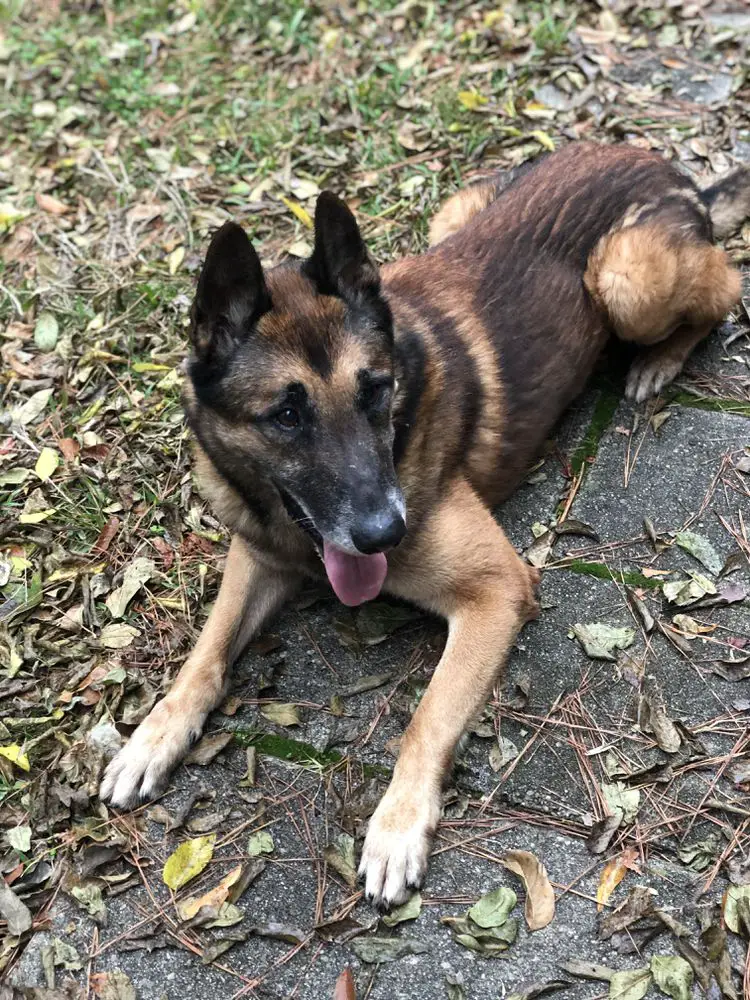 Midas van't Rietje at Southernwind