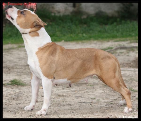 une belle fille du domaine de zeus