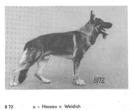 V Hassan vom Weidich