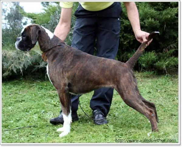 Katia do Vale do Lethes