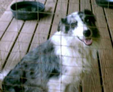 Danny Boy (ABC 167944)