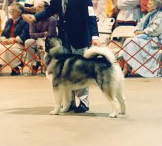 Sno Klassic Turn The Page