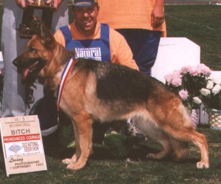 VA5 (USA) Yahtzee Vom Mittelwest II