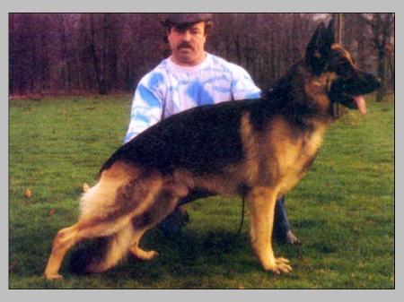 SG Caro vom Eller Schloß