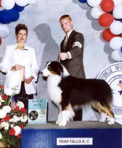 AKC/ASCA CH. Briarbrooks Quicksilver