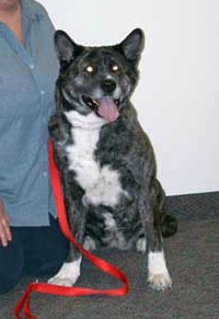 Mryu's Kb Kawaii Kao No TriR