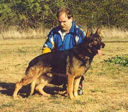 SG Orkan vom Werraland