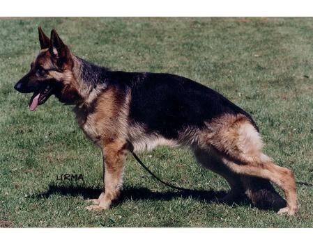 V Josy vom stillen Moor