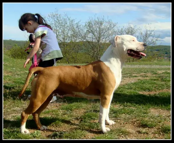 Cool Wind Kennel Zita