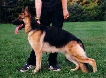 V Roxy vom Phönix See