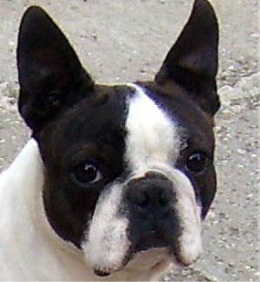 Up To Date Kiss Me Kate