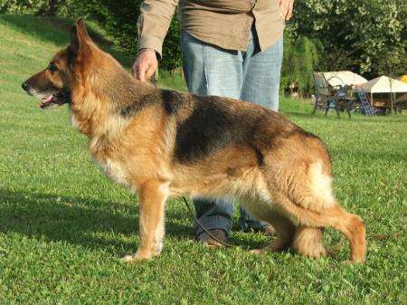 Anita della Valcuvia