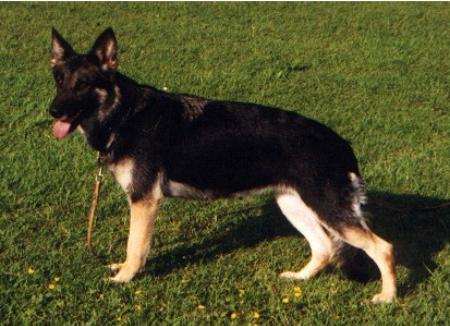 SG Fley von Castra Regina