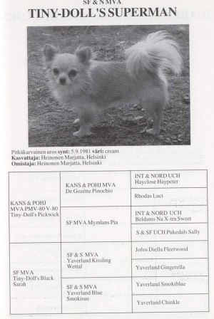 Tiny Doll's Superman