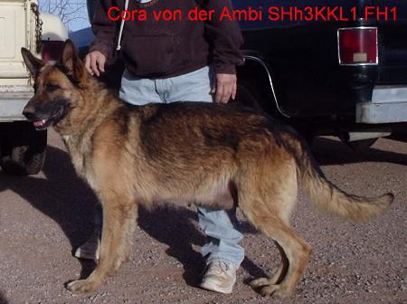 Cora von der Ambi