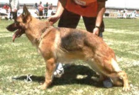 V Isis Del Rio Tambre