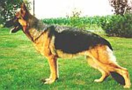 V Gundi von der Emsaue