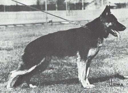 FINUCH INTUCH SUCH Pierrings Ilex