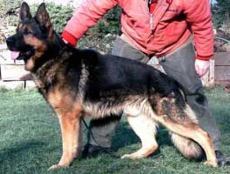 Baro v. Kreutzschauer Land