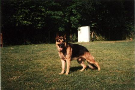 Vurtz du Val des Hurles Vent