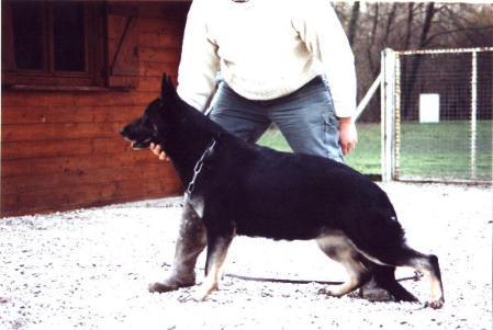 Inouche du Val des Hurles Vent