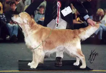 ENG CH Chinnordale Dudley