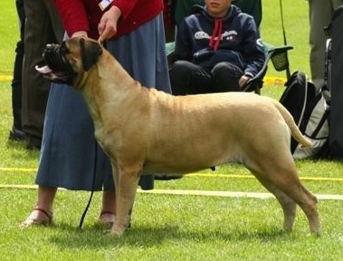 INT NORD UCH BDSG'08 Game Keeper's Famous In Fables