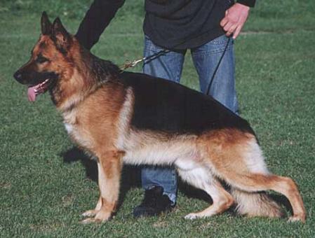 VA1 (YU) Porsche vom Bombonini