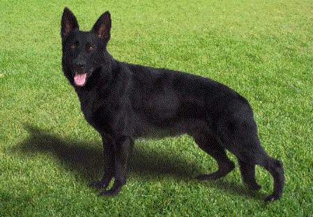 G Lord vom Haus Proffitt