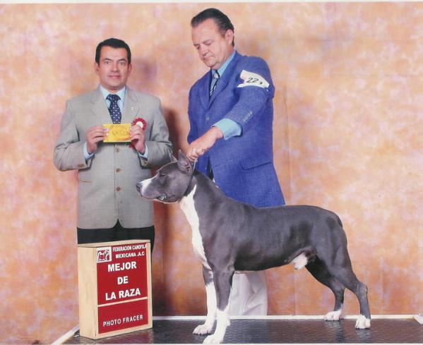 CH,MEX,PANAM Canek (Chida) MEX.FCI.