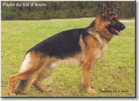 V Papin du Val D'Anzin