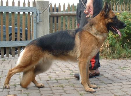 V Fenja von der Rangauhöhe