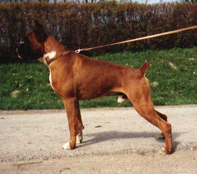 Portos de Villa Astur