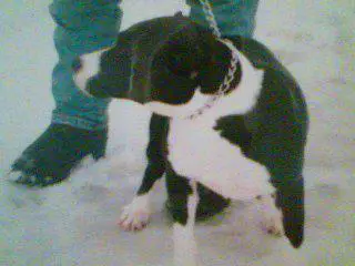 Rockwood's Happy Girl