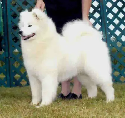 Vanderbilt's I'm No Angel