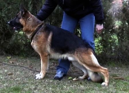 Cliff von Maggenheim