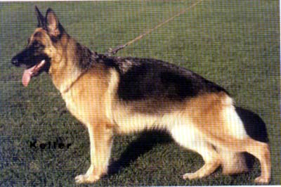 V Sela von der Noriswand