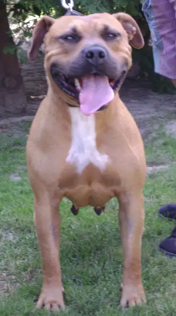 Robag Ore Bianca