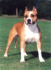 Ruppi Tipit Z Hanky