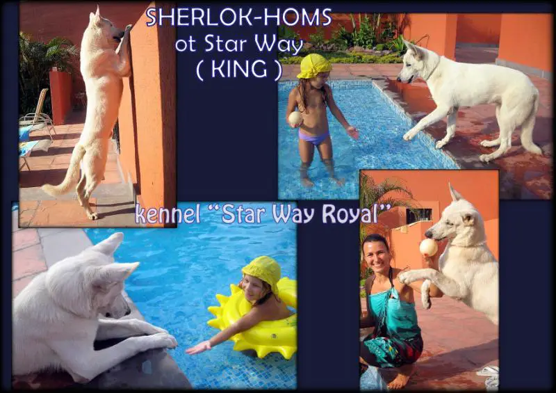 SHERLOK-HOMS ot Star Way