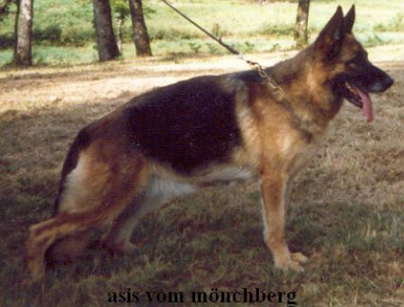 V Asis vom Mönchberg